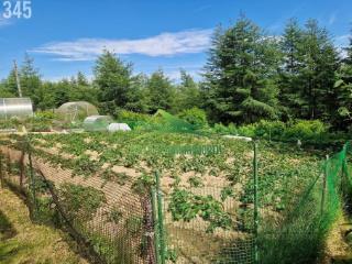 1-этажный дом, 45 м², 17 соток