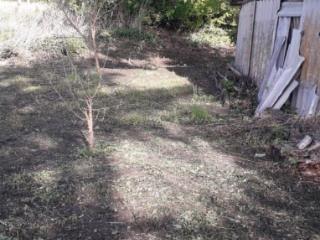 1-этажный дом, 52 м², 50 соток