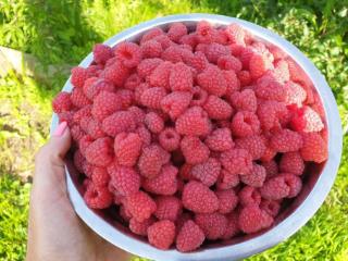 2-этажный дом, 100 м², 30 соток