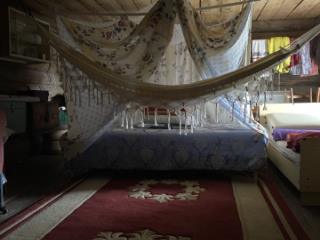 1-этажный дом, 25.3 м², 37 соток