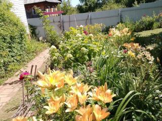  дом, 60 м², 50 соток