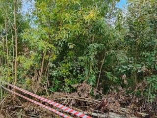 Продам земельный участок, 6 соток