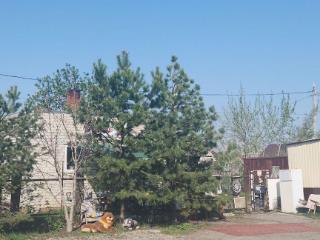  коттедж, 42 м², 4 сотки