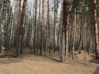  коттедж, 20 м², 6 соток