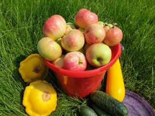 2-этажный дом, 100 м², 30 соток