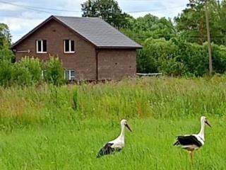  дом, 124.9 м², 19 соток