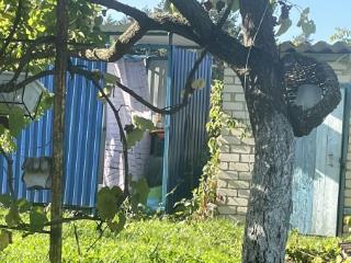 1-этажный дом, 23 м², 9 соток