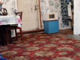 1-этажный дом, 25.8 м², 24.12 сотки