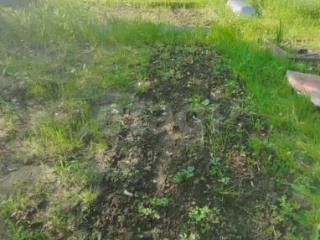 1-этажный дом, 27 м², 6 соток