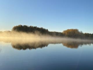 1-этажный дом, 25.3 м², 37 соток