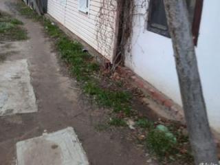 1-этажный дом, 100 м², 4 сотки