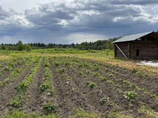 Продажа земли, 15 соток