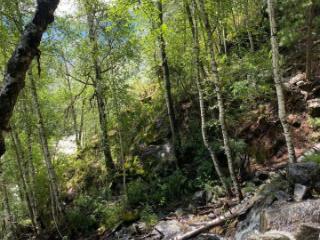 1-этажный дом, 80 м², 25 соток