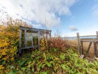 1-этажный дом, 50 м², 16 соток