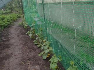 1-этажный дом, 150 м², 11 соток