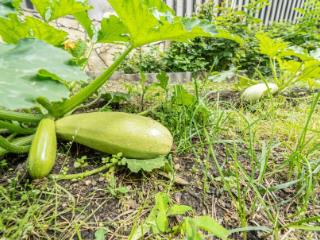 2-этажный коттедж, 383 м², 8 соток