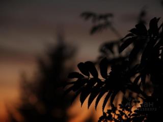 1-этажный дом, 90 м², 8 соток