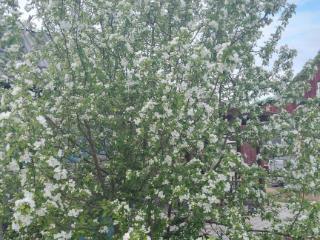  дом, 108 м², 10 соток