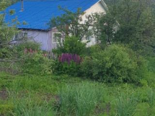 1-этажный дом, 80 м², 25 соток