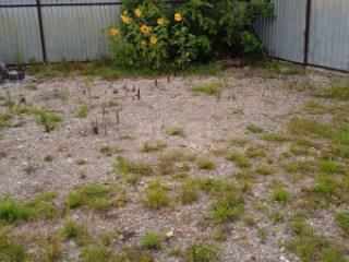 1-этажный дом, 31 м², 19.6 соток