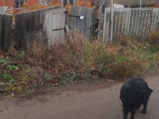  дом, 116 м², 22 сотки