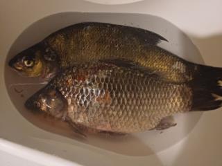 1-этажный дом, 280 м², 12 соток