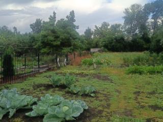 1-этажный дом, 156 м², 15 соток