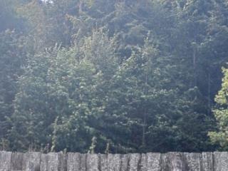 1-этажный дом, 280 м², 12 соток