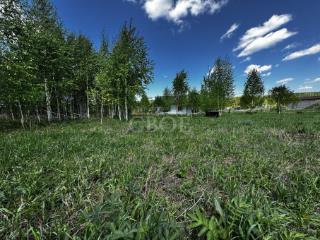 1-этажный дом, 100 м², 12 соток