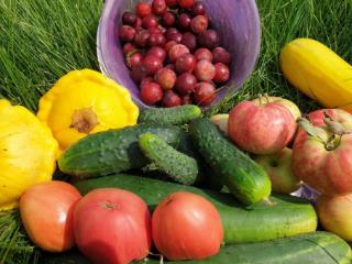 2-этажный дом, 100 м², 30 соток