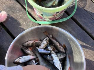 2-этажный дом, 62 м², 8 соток