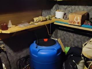 1-этажный дом, 40.8 м², 11 соток