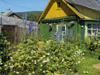  дом, 32.5 м², 20.2 соток