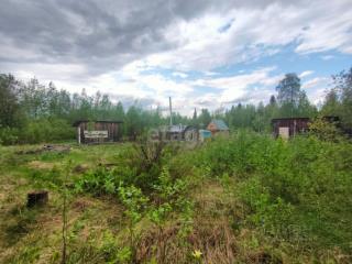 1-этажный дом, 25 м², 10.2 соток