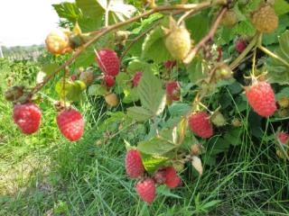 2-этажный дом, 100 м², 30 соток