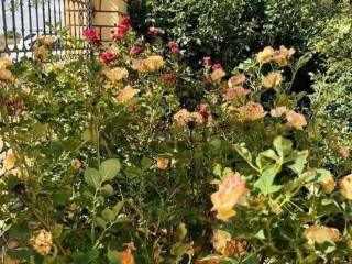 1-этажный дом, 154.8 м², 976 соток