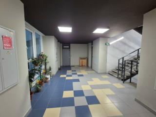 Студия, 28.7 м², 2/5 этаж