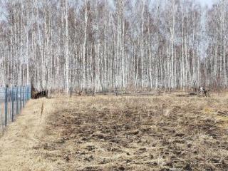 1-этажный дом, 79.1 м², 14 соток