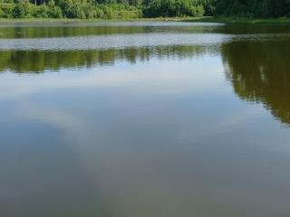 1-этажный дом, 56.4 м², 8.5 соток