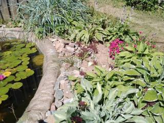  дом, 60 м², 50 соток