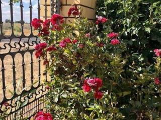 1-этажный дом, 154.8 м², 976 соток