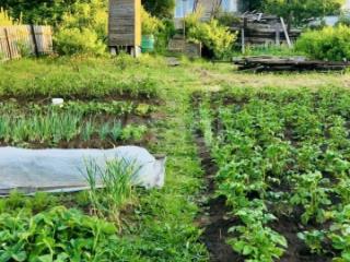 1-этажный дом, 89.9 м², 8.6 соток