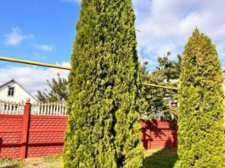 1-этажный дом, 105 м², 31.5 сотка