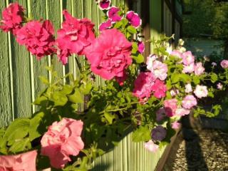  коттедж, 59.4 м², 6 соток