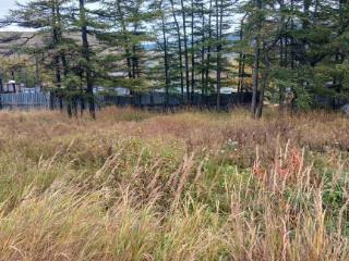  дом, 10 м², 22 сотки