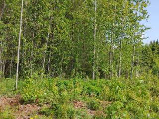 Продажа земли, 6 соток