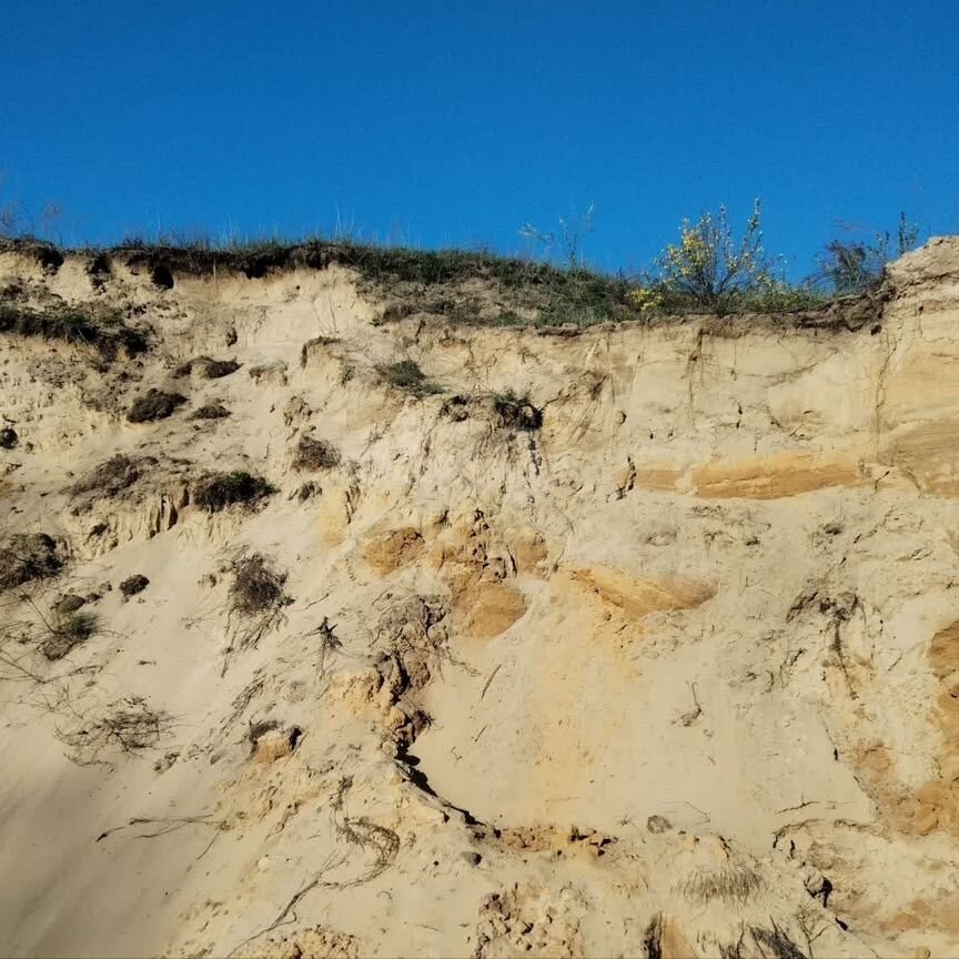 Купить участок, 109.4 соток