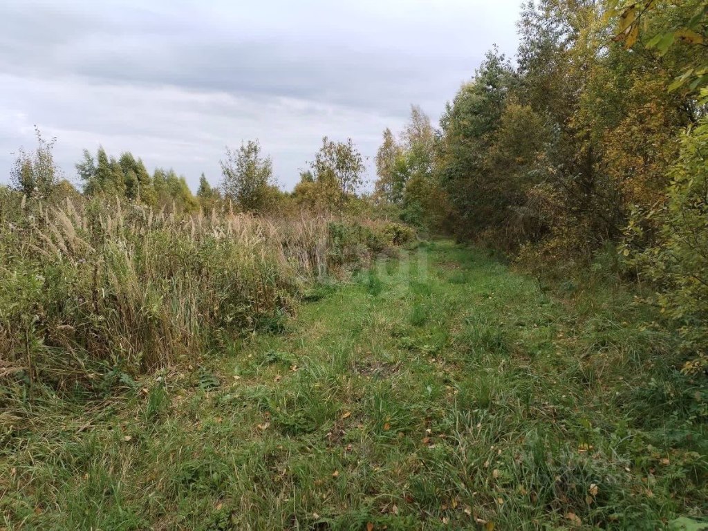 Купить земельный участок, 5.28 соток