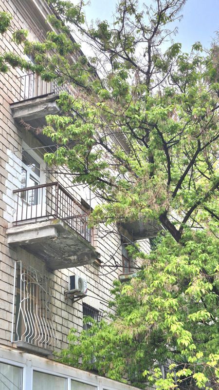 3-комн., 80 м², 3/4 этаж