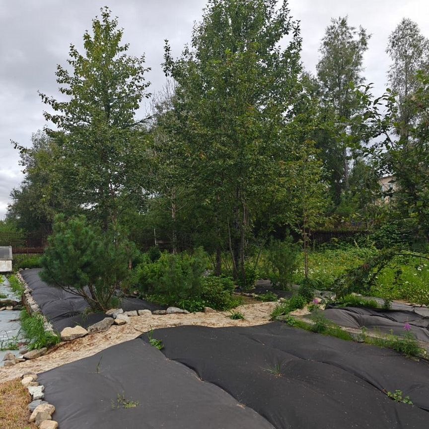  дом, 38.5 м², 15.5 соток